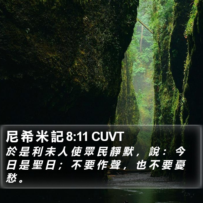 尼 希 米 記 8:11 CUVT Bible Study