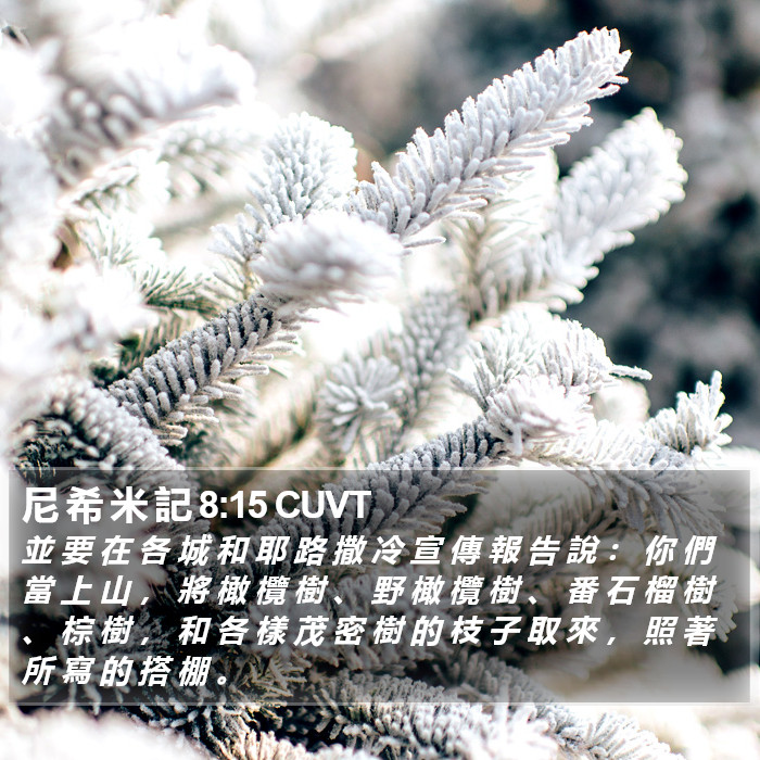 尼 希 米 記 8:15 CUVT Bible Study
