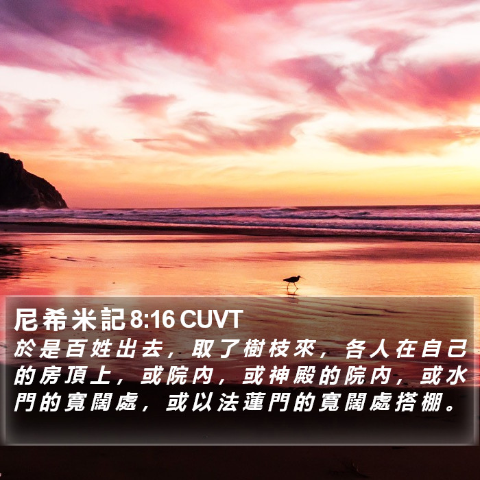 尼 希 米 記 8:16 CUVT Bible Study