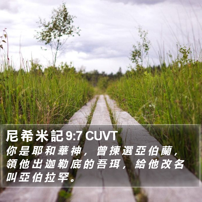 尼 希 米 記 9:7 CUVT Bible Study