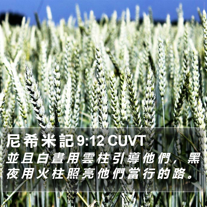 尼 希 米 記 9:12 CUVT Bible Study