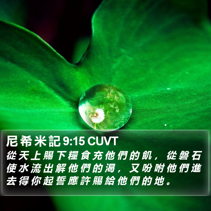 尼 希 米 記 9:15 CUVT Bible Study