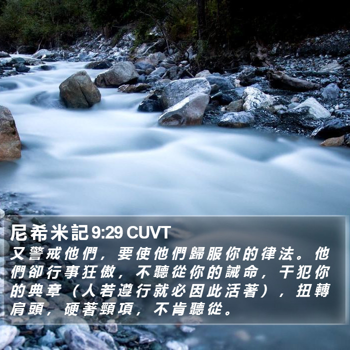 尼 希 米 記 9:29 CUVT Bible Study