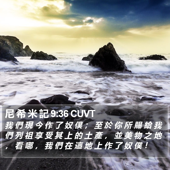 尼 希 米 記 9:36 CUVT Bible Study