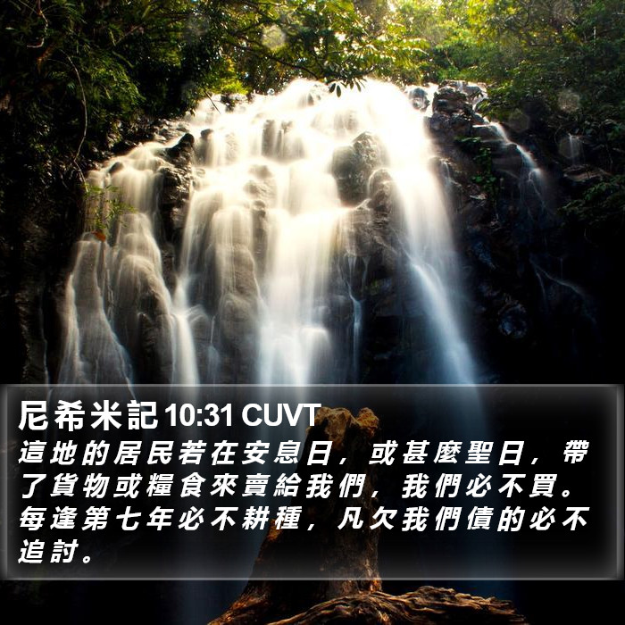 尼 希 米 記 10:31 CUVT Bible Study