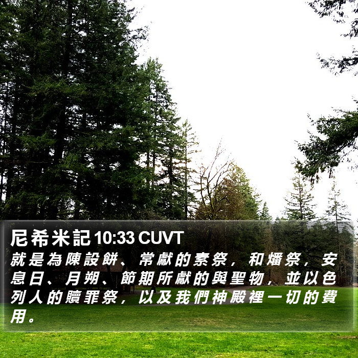 尼 希 米 記 10:33 CUVT Bible Study