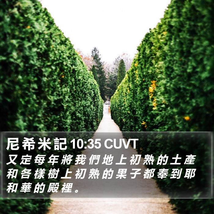 尼 希 米 記 10:35 CUVT Bible Study