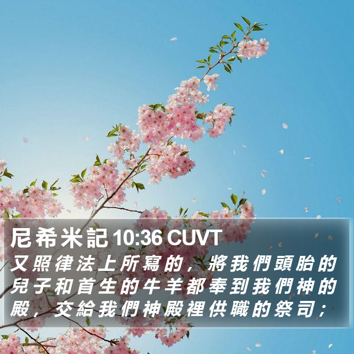 尼 希 米 記 10:36 CUVT Bible Study