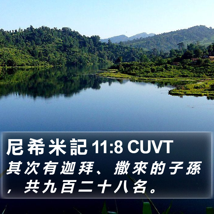 尼 希 米 記 11:8 CUVT Bible Study