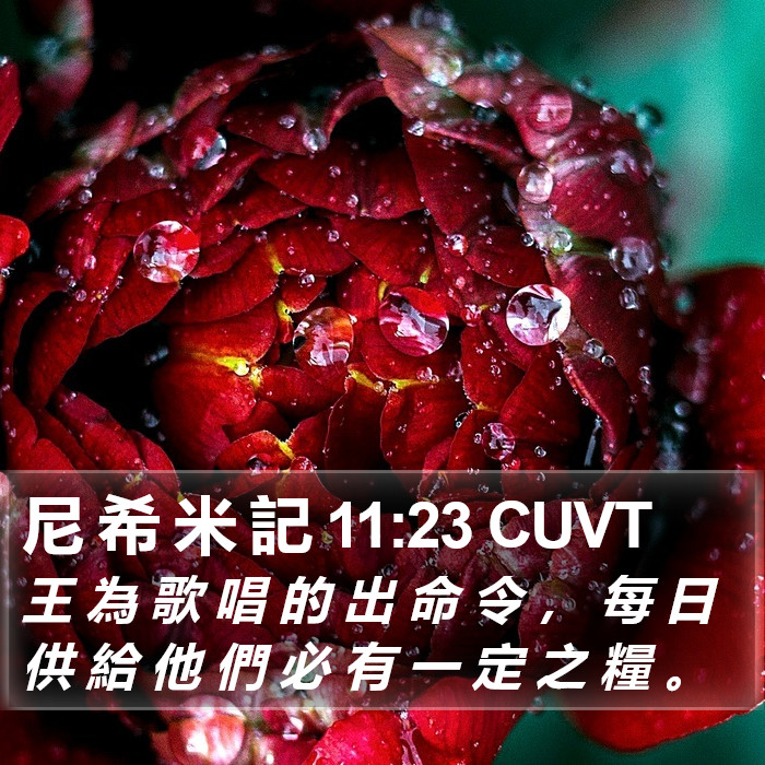 尼 希 米 記 11:23 CUVT Bible Study