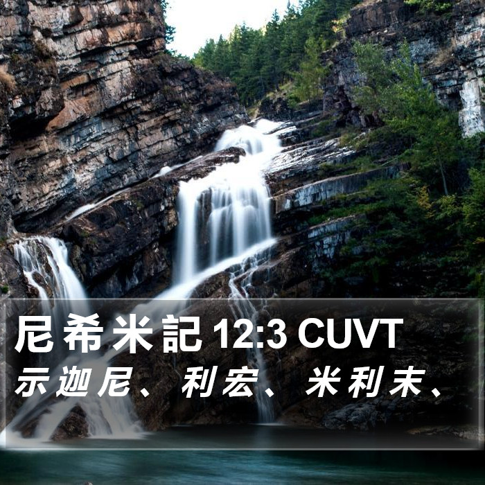 尼 希 米 記 12:3 CUVT Bible Study