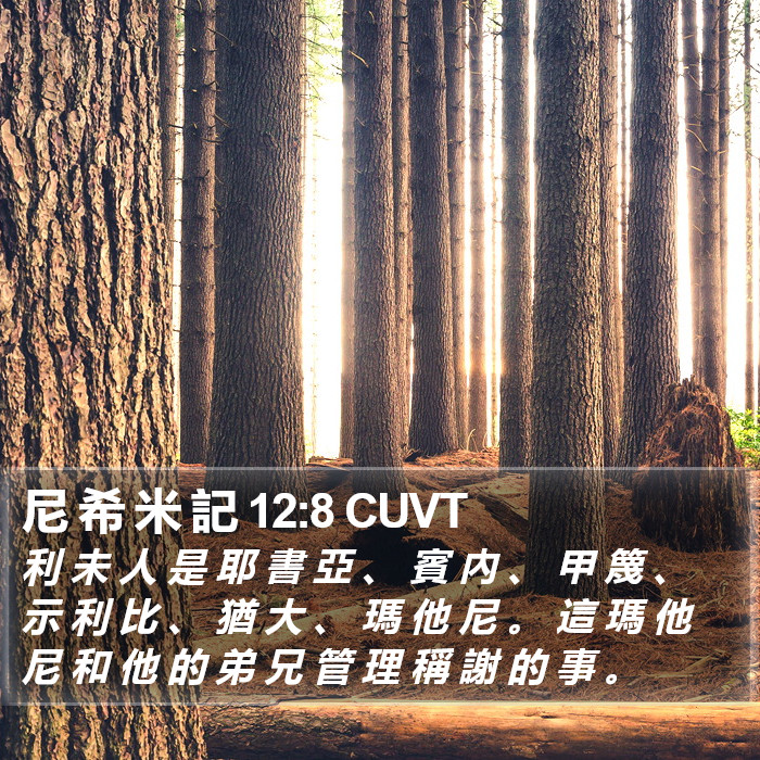 尼 希 米 記 12:8 CUVT Bible Study