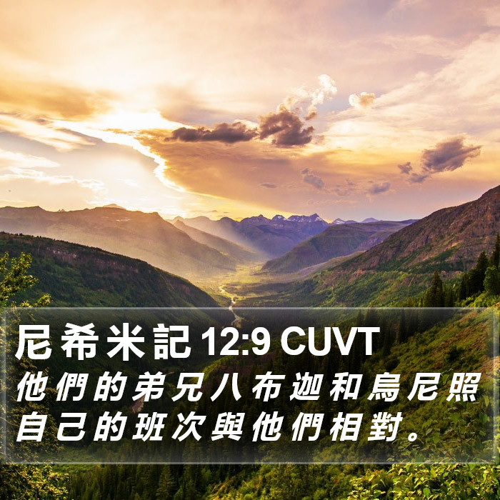 尼 希 米 記 12:9 CUVT Bible Study