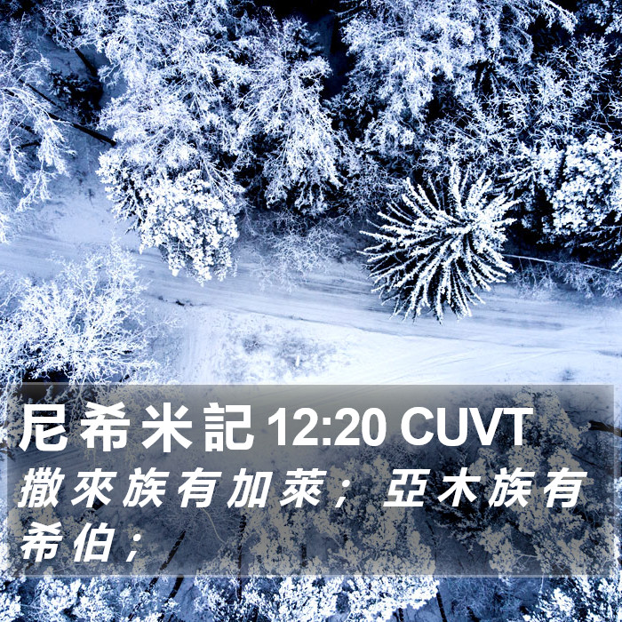 尼 希 米 記 12:20 CUVT Bible Study