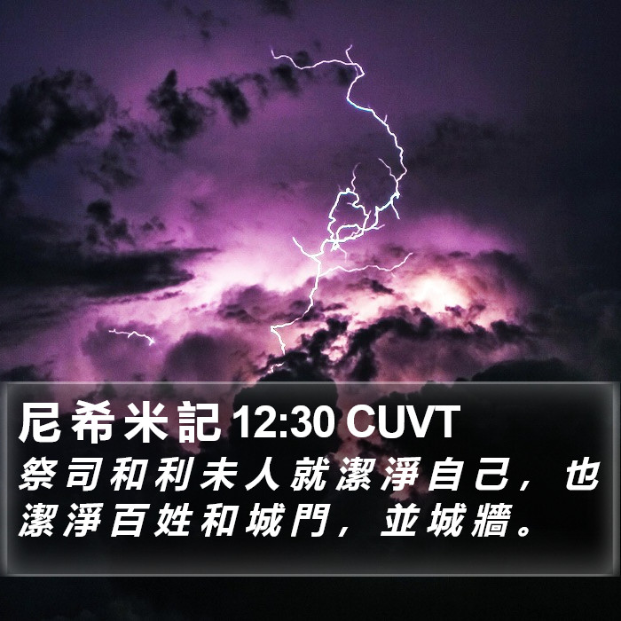 尼 希 米 記 12:30 CUVT Bible Study