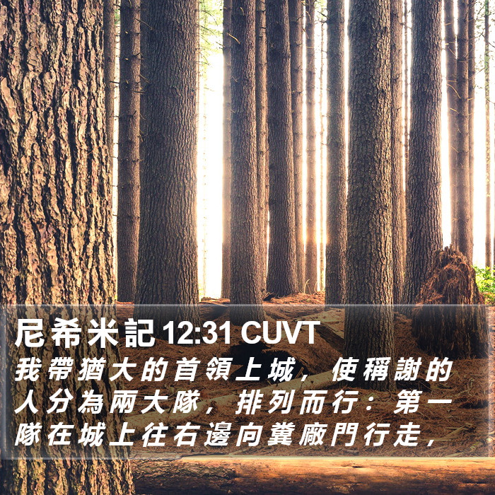 尼 希 米 記 12:31 CUVT Bible Study