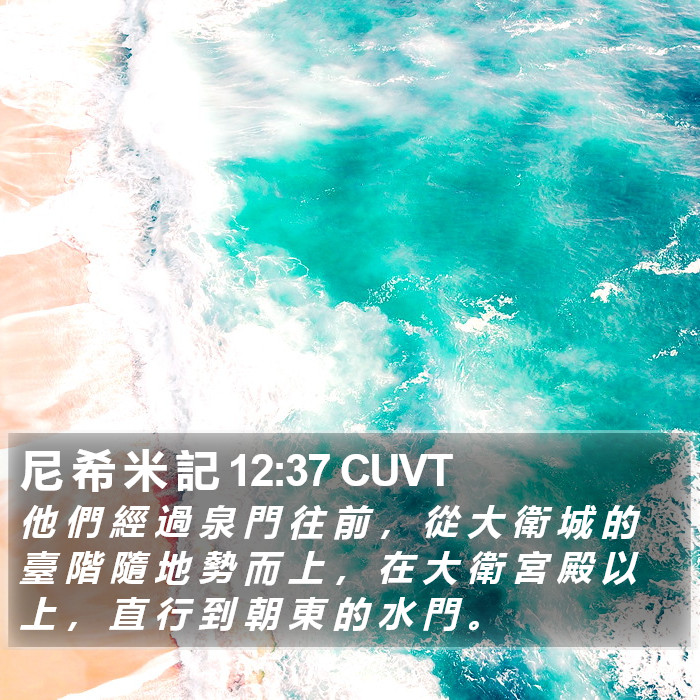 尼 希 米 記 12:37 CUVT Bible Study