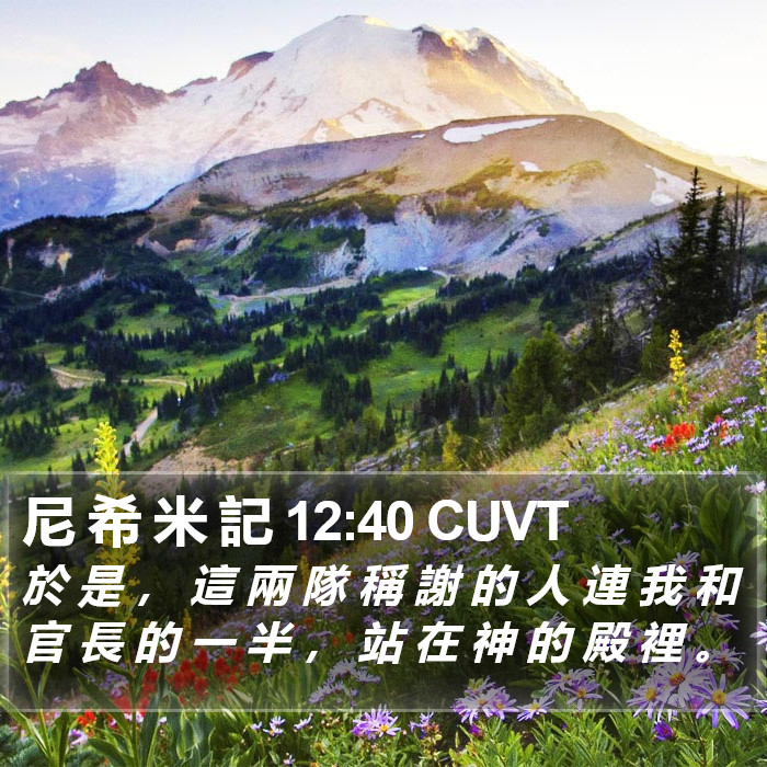 尼 希 米 記 12:40 CUVT Bible Study