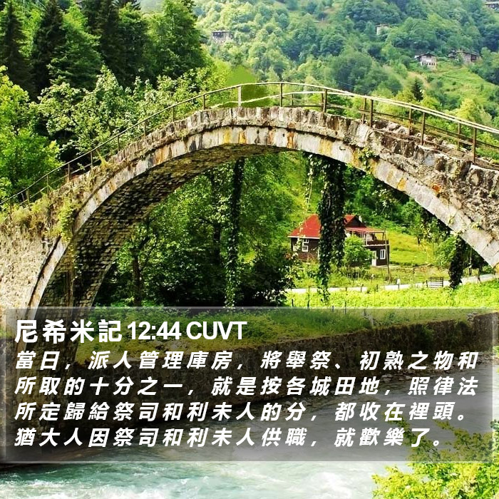 尼 希 米 記 12:44 CUVT Bible Study