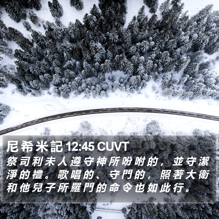 尼 希 米 記 12:45 CUVT Bible Study