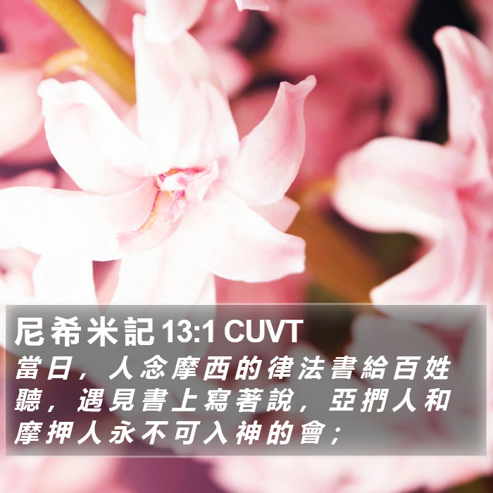 尼 希 米 記 13:1 CUVT Bible Study