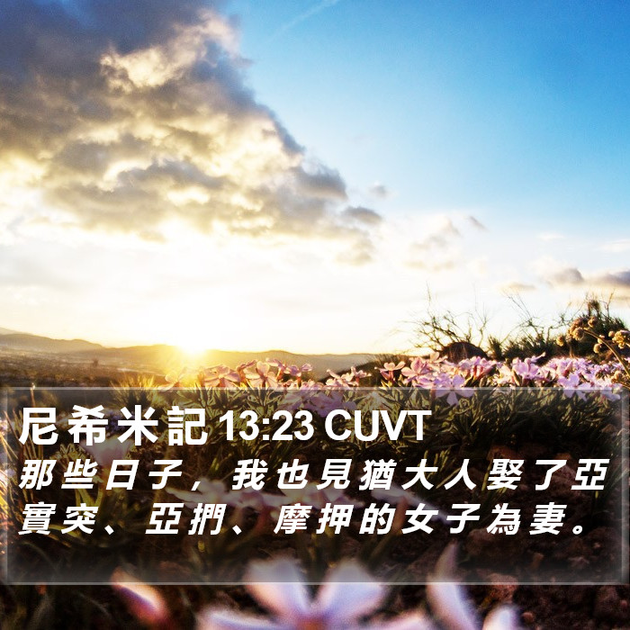 尼 希 米 記 13:23 CUVT Bible Study