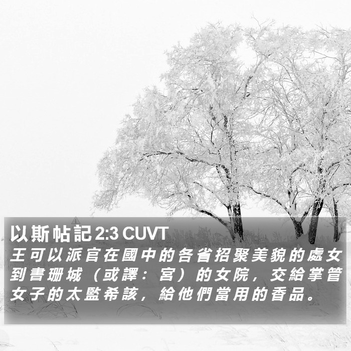 以 斯 帖 記 2:3 CUVT Bible Study