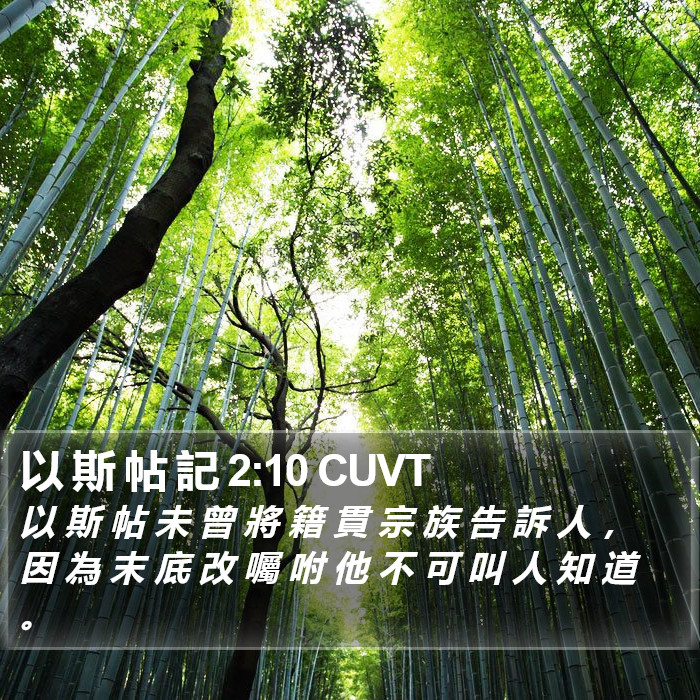 以 斯 帖 記 2:10 CUVT Bible Study