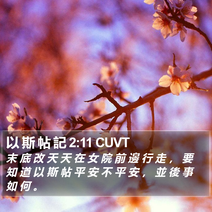 以 斯 帖 記 2:11 CUVT Bible Study