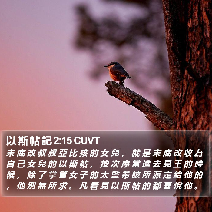 以 斯 帖 記 2:15 CUVT Bible Study