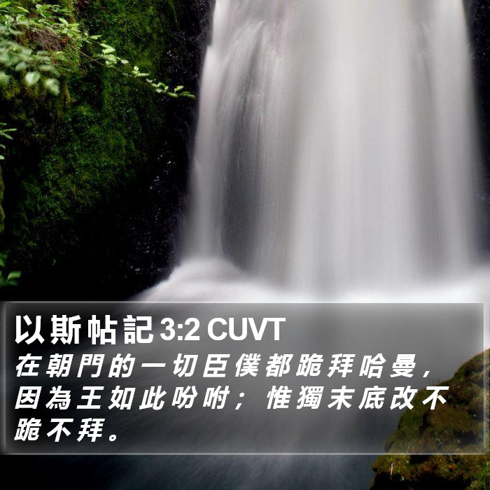 以 斯 帖 記 3:2 CUVT Bible Study