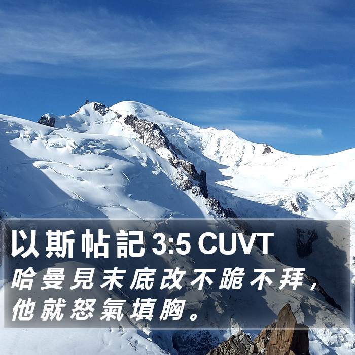 以 斯 帖 記 3:5 CUVT Bible Study