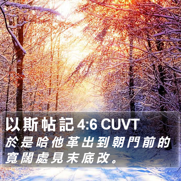 以 斯 帖 記 4:6 CUVT Bible Study