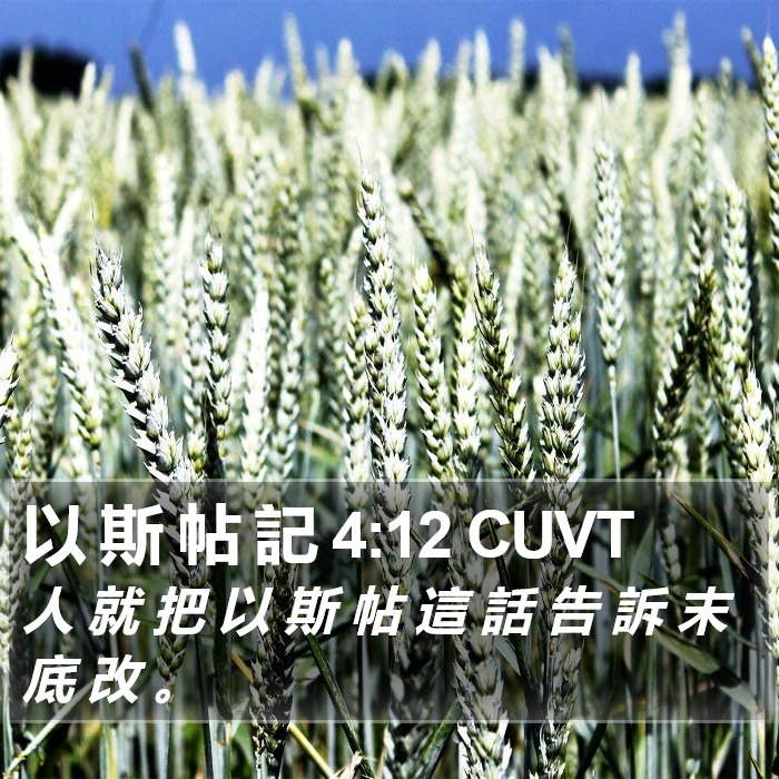 以 斯 帖 記 4:12 CUVT Bible Study