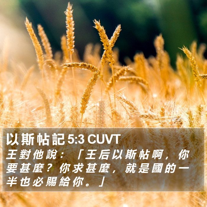 以 斯 帖 記 5:3 CUVT Bible Study