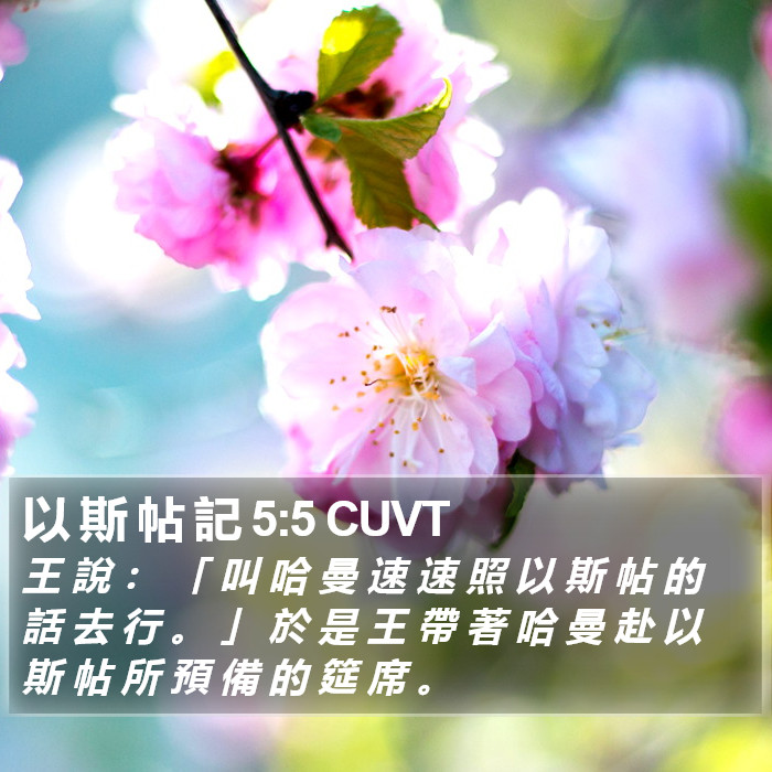 以 斯 帖 記 5:5 CUVT Bible Study