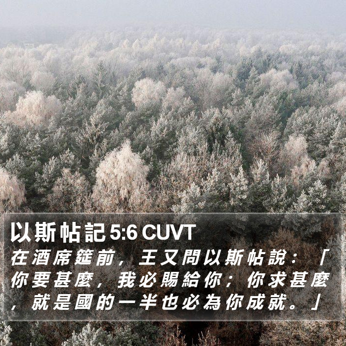 以 斯 帖 記 5:6 CUVT Bible Study