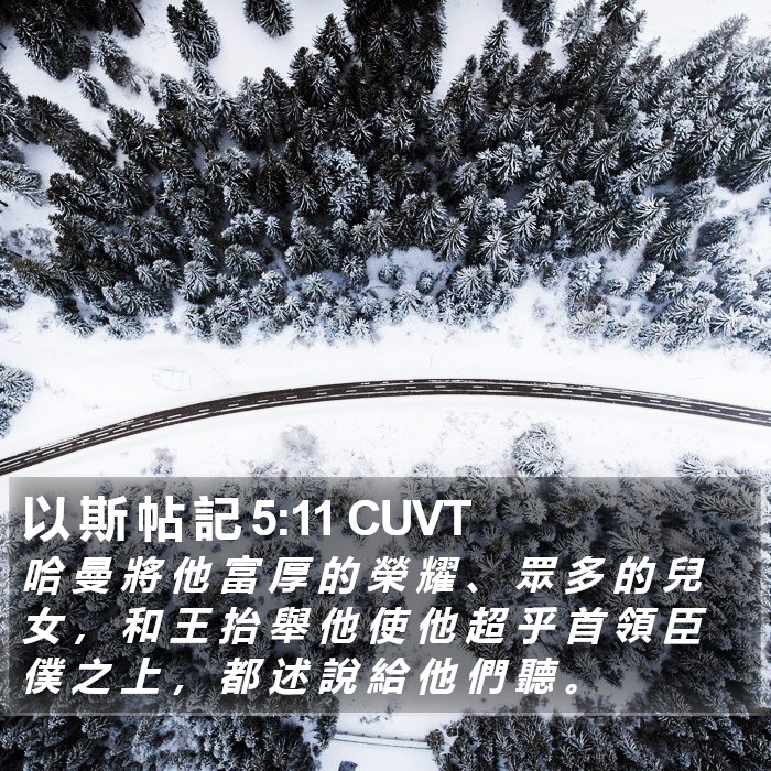 以 斯 帖 記 5:11 CUVT Bible Study