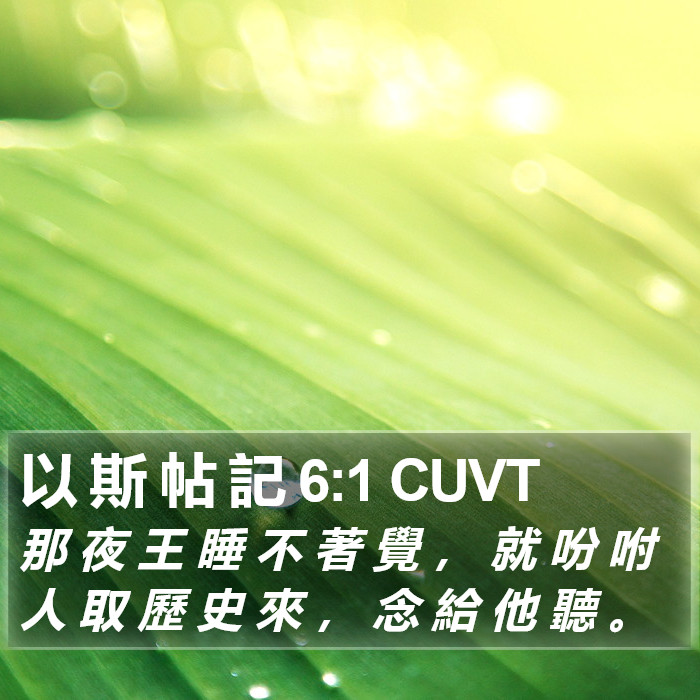 以 斯 帖 記 6:1 CUVT Bible Study