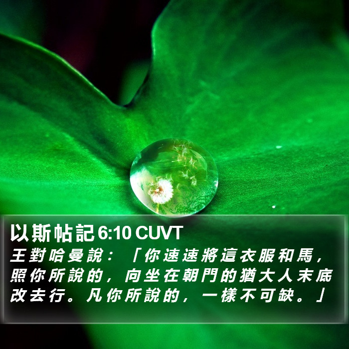 以 斯 帖 記 6:10 CUVT Bible Study