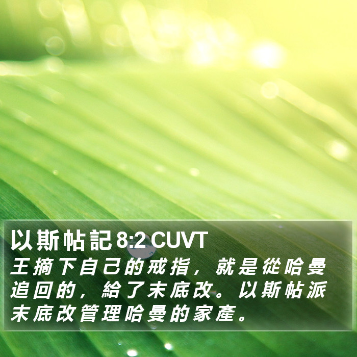 以 斯 帖 記 8:2 CUVT Bible Study