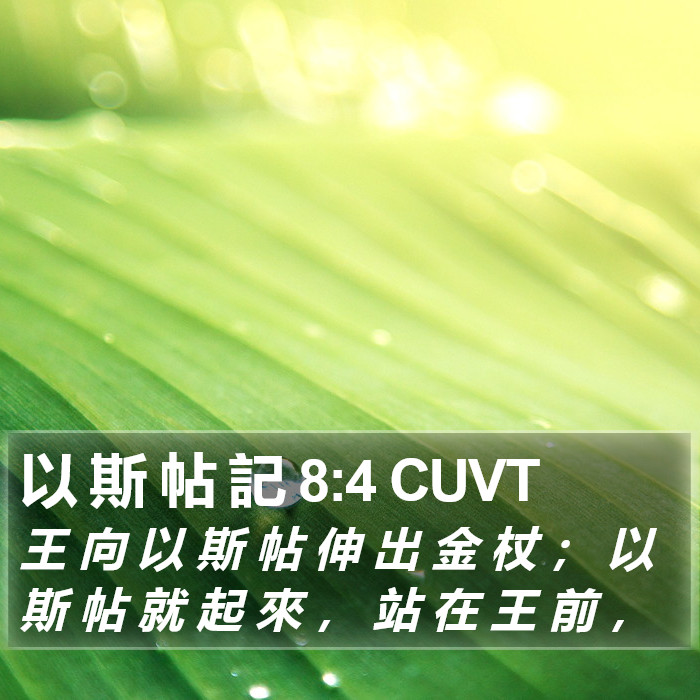 以 斯 帖 記 8:4 CUVT Bible Study