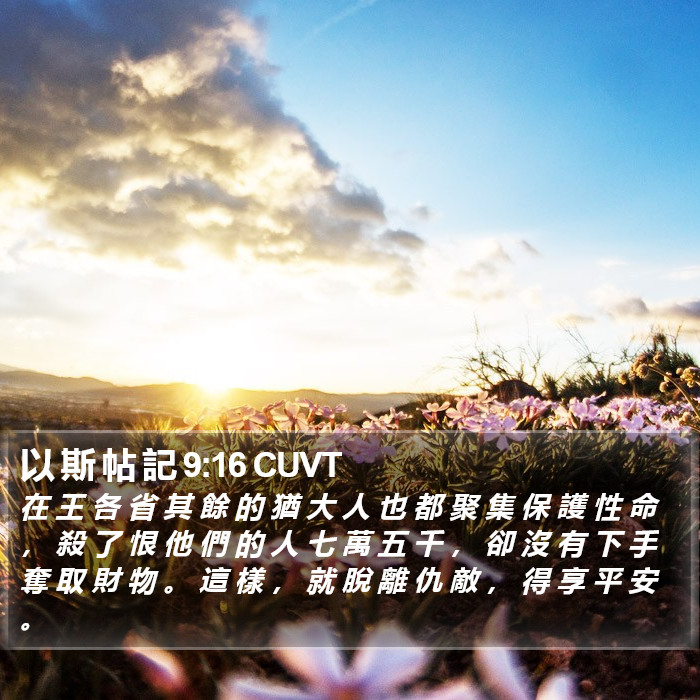 以 斯 帖 記 9:16 CUVT Bible Study