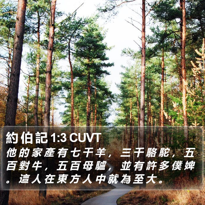 約 伯 記 1:3 CUVT Bible Study