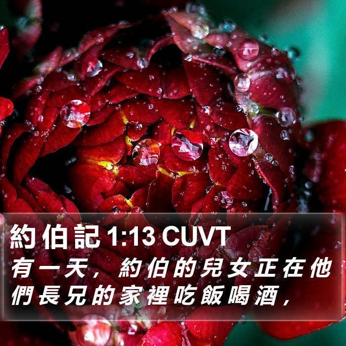 約 伯 記 1:13 CUVT Bible Study