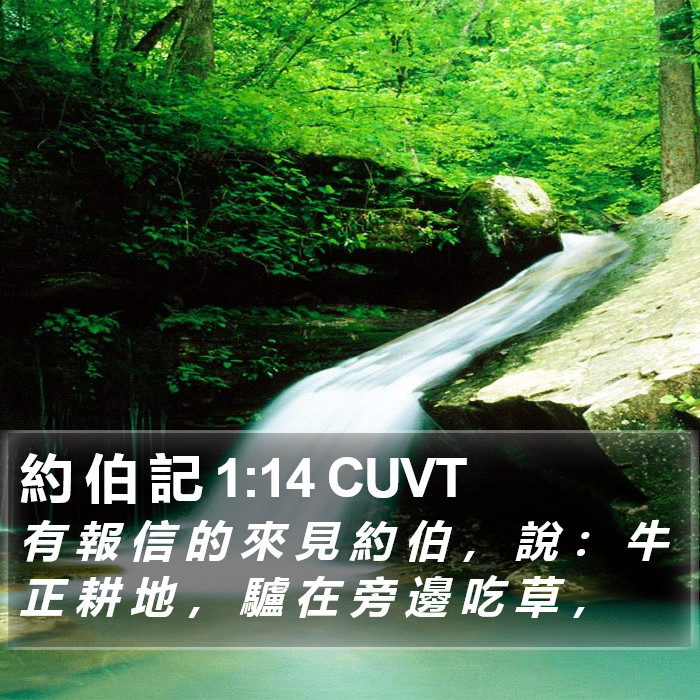 約 伯 記 1:14 CUVT Bible Study