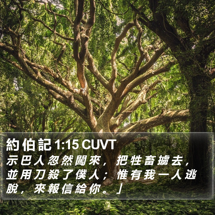 約 伯 記 1:15 CUVT Bible Study