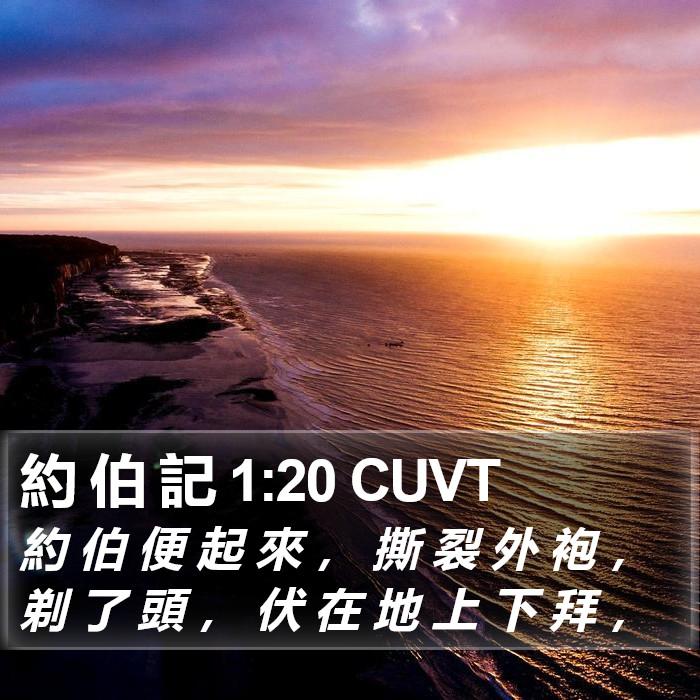 約 伯 記 1:20 CUVT Bible Study