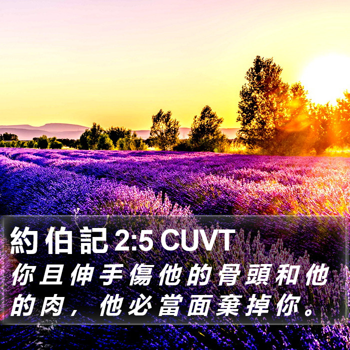 約 伯 記 2:5 CUVT Bible Study