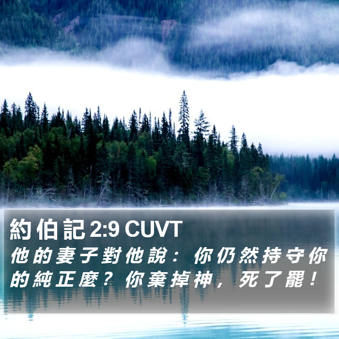 約 伯 記 2:9 CUVT Bible Study